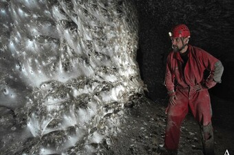 Paukova mreža u Albaniji