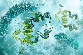 Beta stanice proizvode inzulin, ilustracija