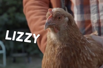 Kako je kokoš postala inspiracija za stabilizaciju slike na smarthphoneu?