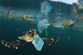 Zagađenje plastikom, ilustracija