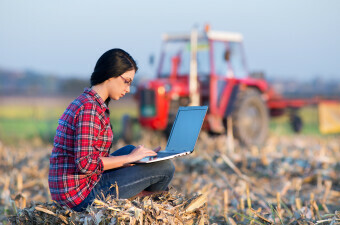 Žena za računalom u polju, ilustracija
