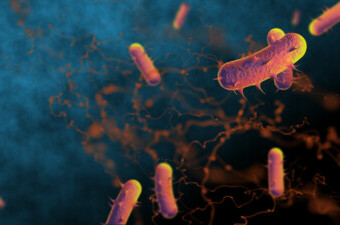 Bakterije, ilustrcija