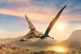 3D ilustracija pterosaura
