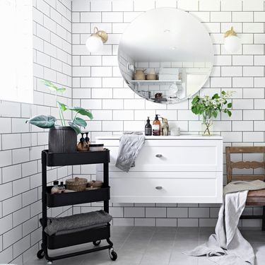 Botanički vrt možete stvoriti i u kupaonici