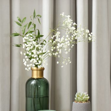 Gipsofila je divan ukras doma