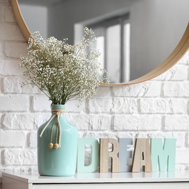 Gipsofila je divan ukras doma