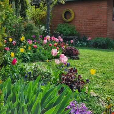 Dvorište Marine Matijašević jedno je od najljepših u Đakovu - 8