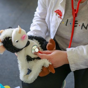 Bolnica za medvjediće organizira se već više od 20 godina