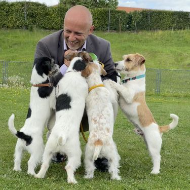 Nenad Bižić iz Velike Gorice stručnjak je za pasminu jack russell terijer - 3