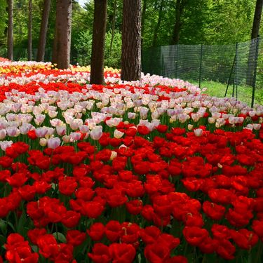 Volčji Potok u Sloveniji