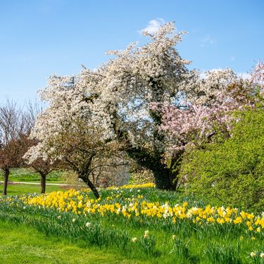 Volčji Potok u Sloveniji