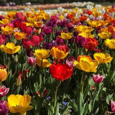 Volčji Potok u Sloveniji