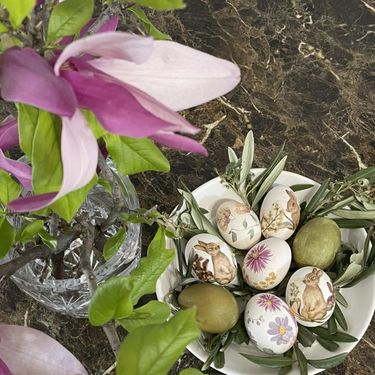 Katarina R. Tomašić