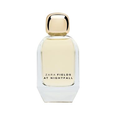 Zara Fields at Nightfall