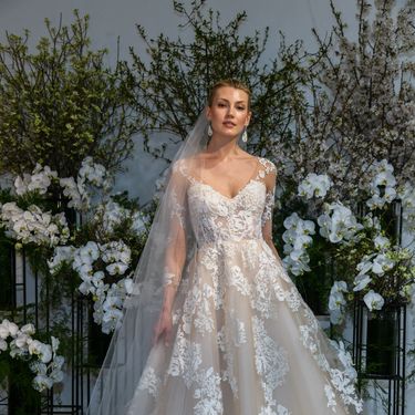 Anne Barge, proljeće/ljeto 2020. godine - 1