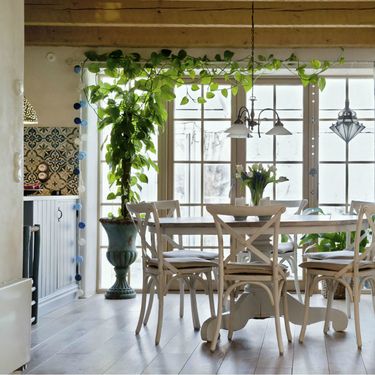 Ukrasno sobno bilje izgleda vrlo efektno i u kuhinji - 6