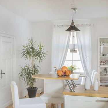 Ukrasno sobno bilje izgleda vrlo efektno i u kuhinji - 9