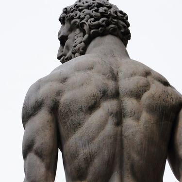 Mišičav kip muškarca s leđa