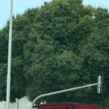 Automobil u prometu