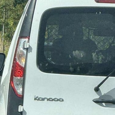 Automobil