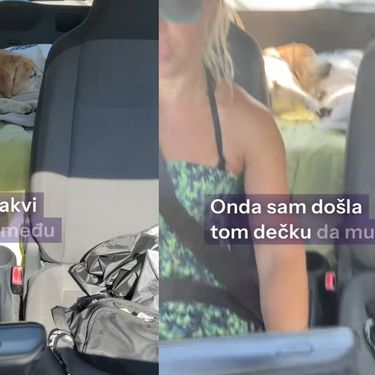 Iskustvo sa pseće plaže