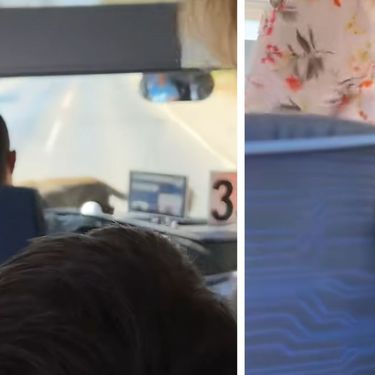 Životinja u autobusu