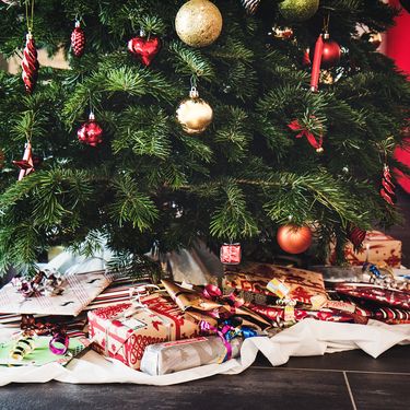 Kako odabrati božićno drvce koje će trajati