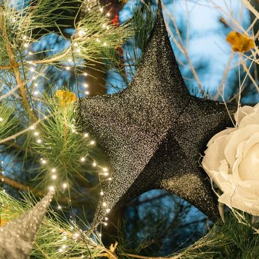 Advent u Bote jedna je od najljepših zagrebačkih adresa adventa - 12