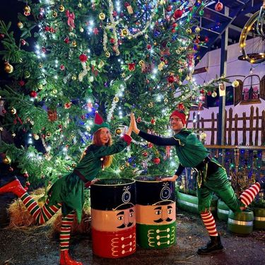 Božićna bajka u Bajkovitoj kući - 12