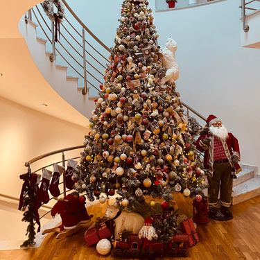 Božić u domu Barbare Đorđević