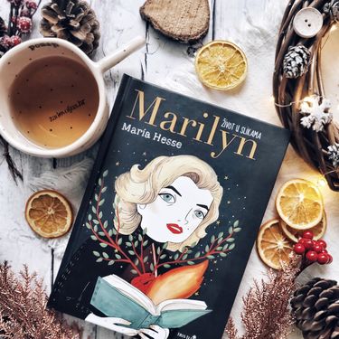 Prijelog knjiga za Božić - 9