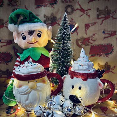 Impresivna kolekcija božićnih šalica Mateje Hlašć iz Zagreba - 4