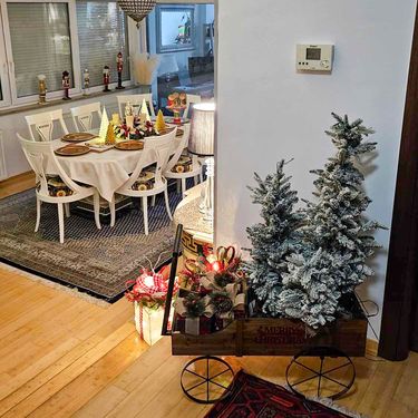 Zagrepčanka Ines svoju kuću pretvorila je u pravu božićnu fantaziju - 3