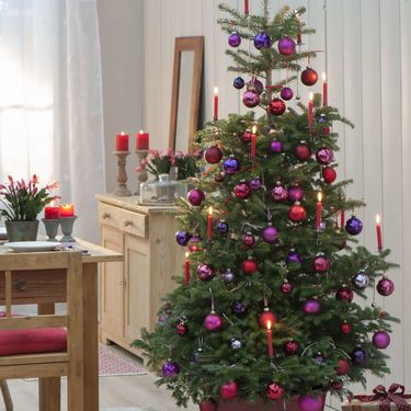 Šarene božićne jelke i dalje su najpopularnije - 7