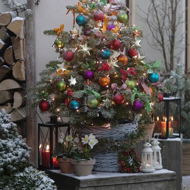 Šarene božićne jelke i dalje su najpopularnije - 9