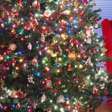 Šarene božićne jelke i dalje su najpopularnije - 10