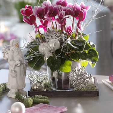 Kuglicama za bor možete okititi i druge dijelove doma - 9