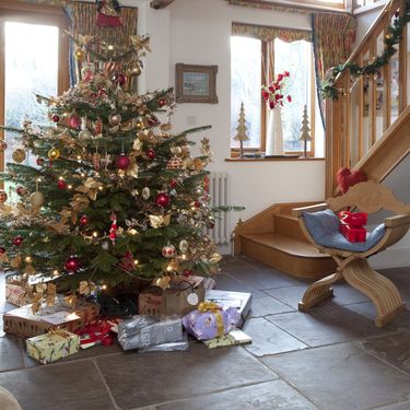 Šarena božićna drvca - 3