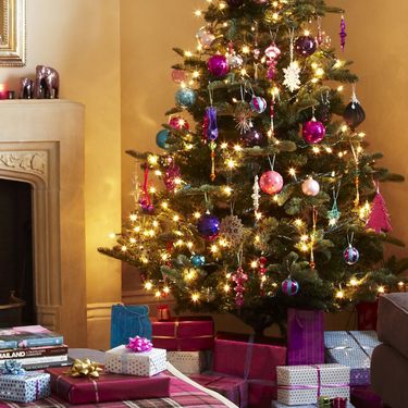 Šarena božićna drvca - 6