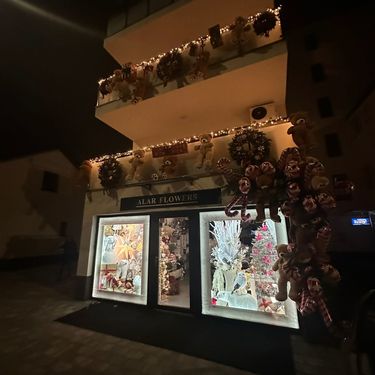 Božićno uređenje cvjećarnice u Velikoj Gorici - 3