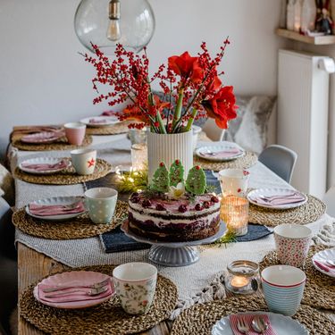 Amarilis je čaroban dodatak domu