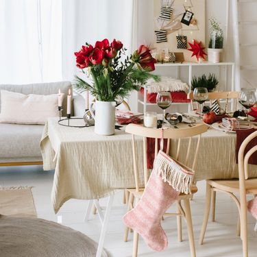 Amarilis je čaroban dodatak domu