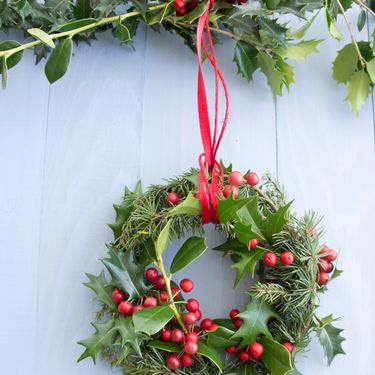 Vjnečić od božikovine