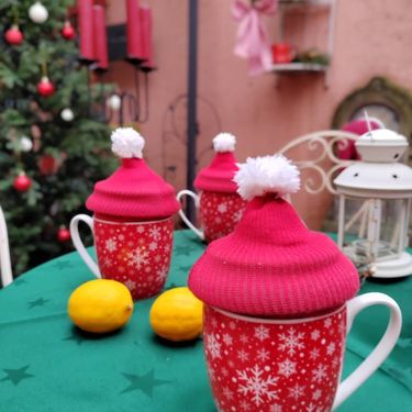 Advent u dvorištu Snježane iz Osijeka