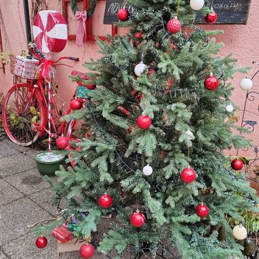 Advent u dvorištu Snježane iz Osijeka