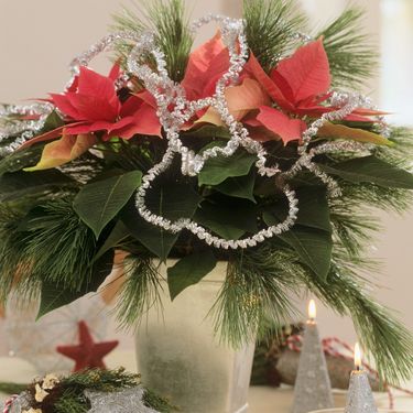 Ukrašavanje blagdanskog doma borovinom