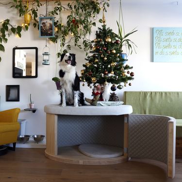 Uroš Abram i Petra Novak iz Slovenije napravili su prvu zvučno izoliranu kućicu za pse na svijetu - 1