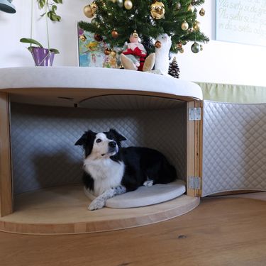 Uroš Abram i Petra Novak iz Slovenije napravili su prvu zvučno izoliranu kućicu za pse na svijetu - 5