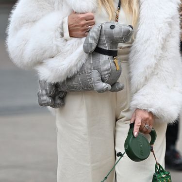 Bunde sa zagrebačke špice - 3