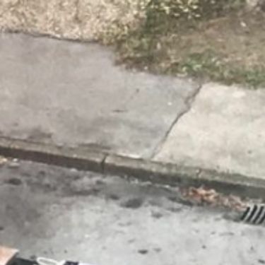 Neobičan način rezervacije parkinga u Hrvatskoj